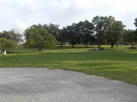 409 Eureka Ct, Hernando, FL 34442 photo 8