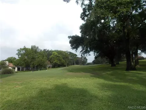 409 Eureka Ct, Hernando, FL 34442 photo 7
