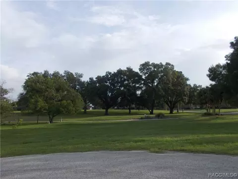409 Eureka Ct, Hernando, FL 34442 photo 9