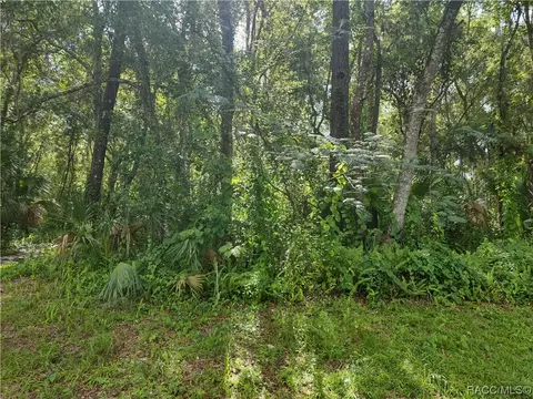 Lots 1-6 N Lemon Avenue, Brooksville, FL 34601