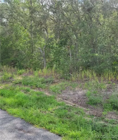 6311 N Darlington Dr, Citrus Springs, FL 34434
