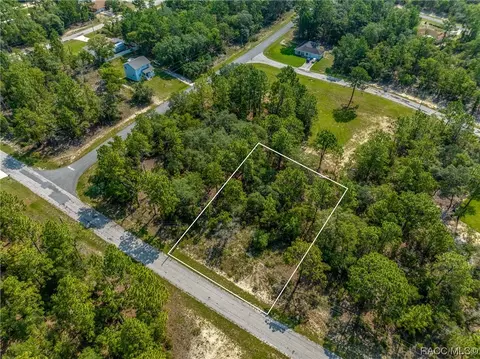 9855 N Sistine Ter, Citrus Springs, FL 34433