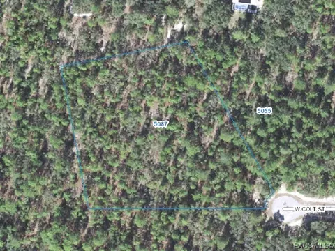 5087 W Colt St, Beverly Hills, FL 34465