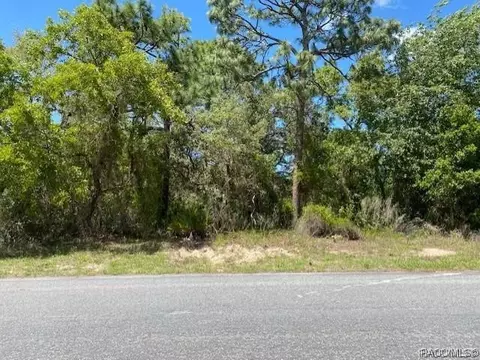8 Sweetbay Ct, Homosassa, FL 34446