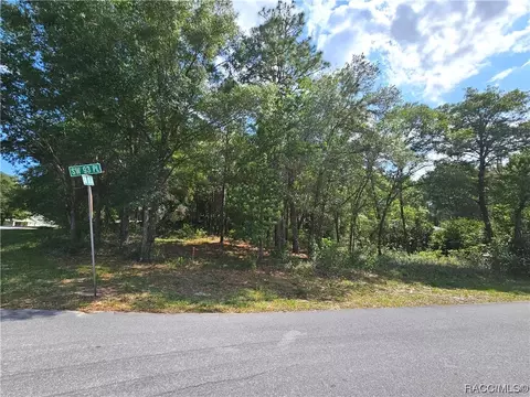 Tbd SW 93rd Place, Dunnellon, FL 34432