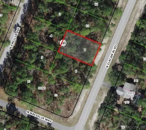9640 N Elkcam Blvd, Citrus Springs, FL 34433