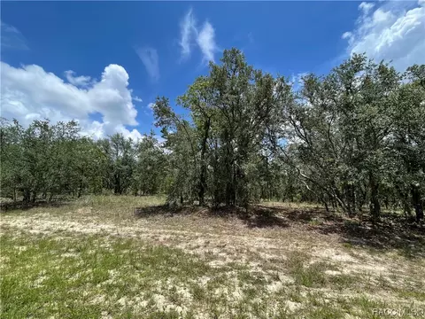 1681 W Hampshire Blvd, Citrus Springs, FL 34434