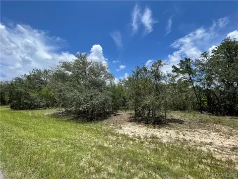 1669 W Hampshire Blvd, Citrus Springs, FL 34434