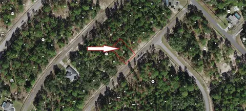 9114 N Burmany Way, Citrus Springs, FL 34433