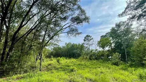 1426 W Mineral Ct, Hernando, FL 34442 photo 7