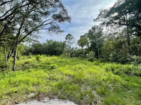 1426 W Mineral Ct, Hernando, FL 34442 photo 6