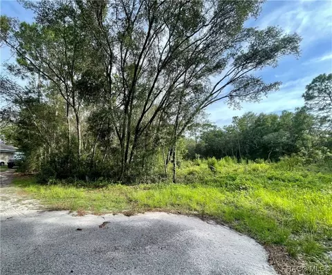 1426 W Mineral Ct, Hernando, FL 34442 photo 3