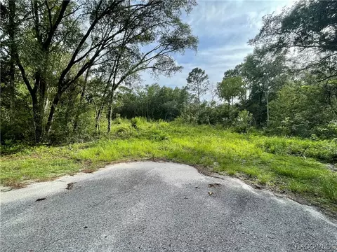 1426 W Mineral Ct, Hernando, FL 34442 photo 4
