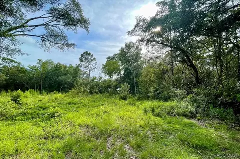 1426 W Mineral Ct, Hernando, FL 34442