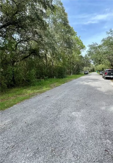 1426 W Mineral Ct, Hernando, FL 34442 photo 5