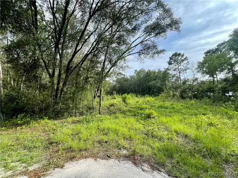 1426 W Mineral Ct, Hernando, FL 34442 photo 8