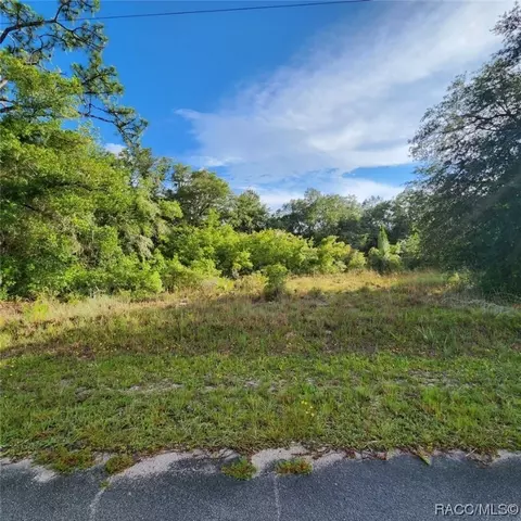 9540 N Evenstock Way, Crystal River, FL 34428