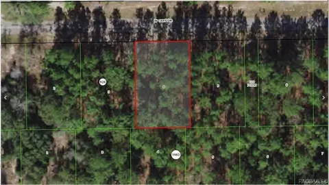 1224 W Cary Dr, Citrus Springs, FL 34434