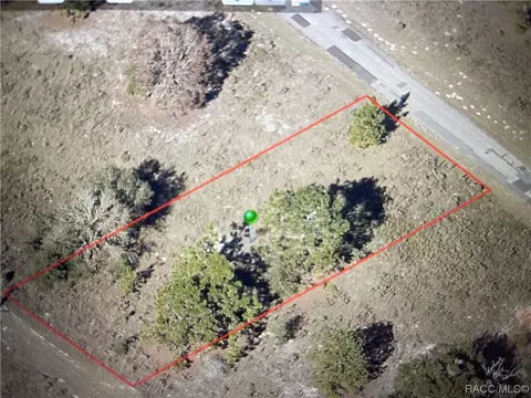 11184 N Terra Cotta Dr, Citrus Springs, FL 34434