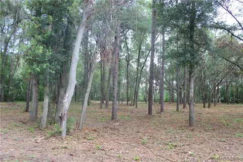 3597 W Ivy St, Dunnellon, FL 34433