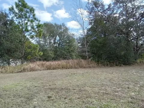 8371 N Santos Dr, Citrus Springs, FL 34434