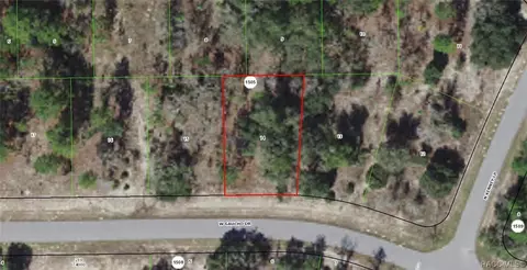 2799 W Gaucho Dr, Citrus Springs, FL 34433