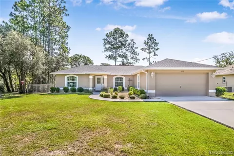 9699 N Fairy Lilly Dr, Citrus Springs, FL 34433