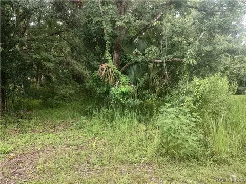 734 NE 11th St, Crystal River, FL 34428