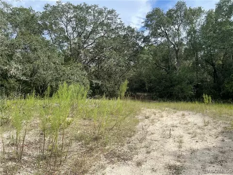 6446 N Bluebonnet Dr, Hernando, FL 34442 photo 5