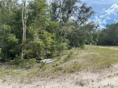6446 N Bluebonnet Dr, Hernando, FL 34442 photo 2