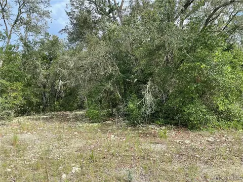 6446 N Bluebonnet Dr, Hernando, FL 34442 photo 3