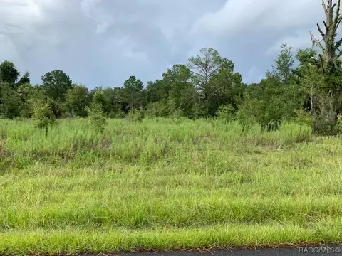 9411 W Hereford Ln, Crystal River, FL 34428