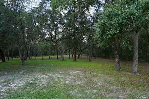 1294 E Cleveland St, Hernando, FL 34442 photo 47