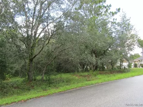 1302 N Mediterranean Way, Inverness, FL 34453
