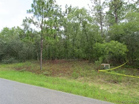 1315 N Mediterranean Way, Inverness, FL 34453