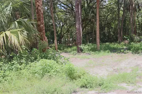 1590 W Attucks Ln, Dunnellon, FL 34434