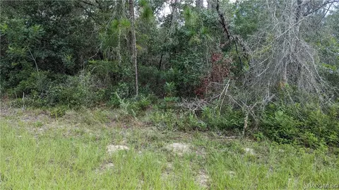 8884 N Vienna Dr, Citrus Springs, FL 34430