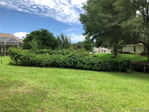 490 E Dakota Ct, Hernando, FL 34442 photo 41