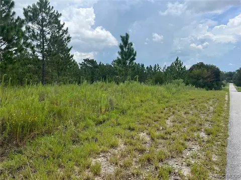 00 SW Cardinal Ave, Dunnellon, FL 34431
