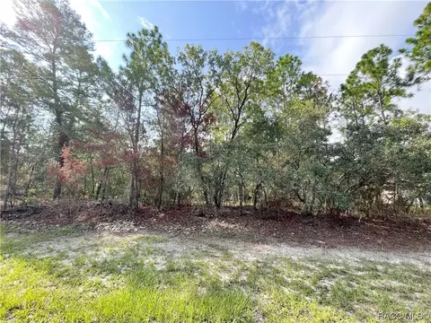 4860 W Custer Dr, Beverly Hills, FL 34465