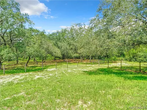 7642 N Nature Trl, Hernando, FL 34442 photo 43