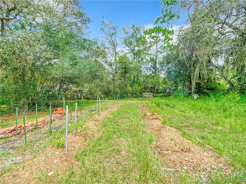 7642 N Nature Trl, Hernando, FL 34442 photo 42