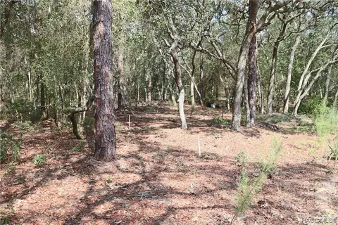 00 SW 176 Ave, Dunnellon, FL 34432