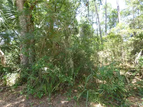 6069 E Arrowhead St, Hernando, FL 34442 photo 5