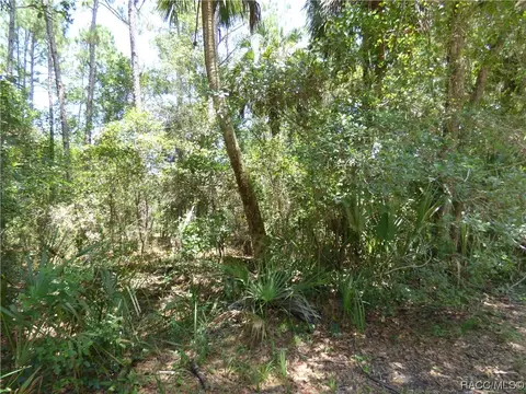 6069 E Arrowhead St, Hernando, FL 34442 photo 6