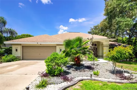 7 Hollyhock Ct, Homosassa, FL 34446