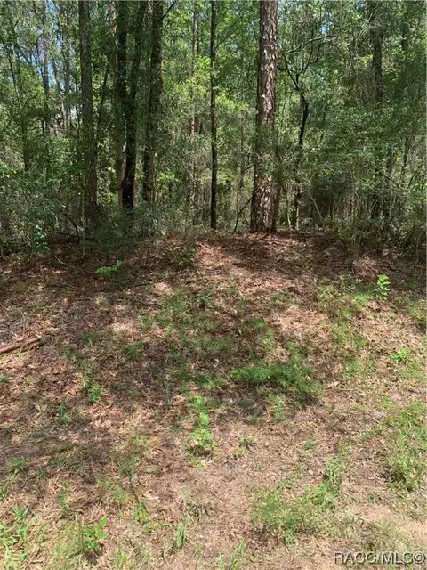 8949 N Bambury Ter, Citrus Springs, FL 34434