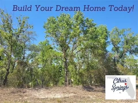 8813 N Vienna Dr, Citrus Springs, FL 34433