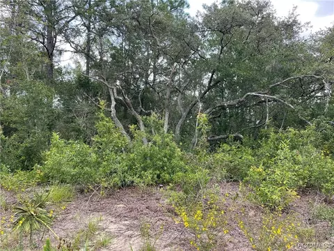 11737 N Shenandoah Way, Citrus Springs, FL 34433