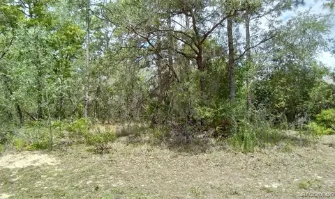 18 Drypetes Ct W, Homosassa, FL 34446